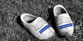 Employee autonomy: Co-Med vs Buurtzorg and FaSinPat