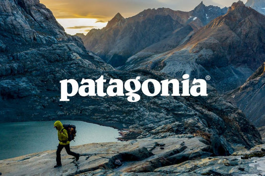 Reporting: Shell vs Patagonia